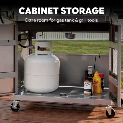 6-Burner Propane Gas Grill in Stainless Steel with Side Burner